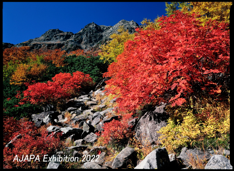 絵画 八木輝「清秋」 難しい 